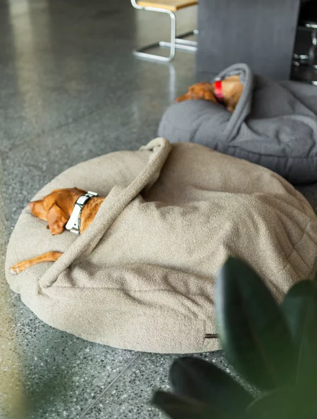 Cuccia per cani con coperta integrata