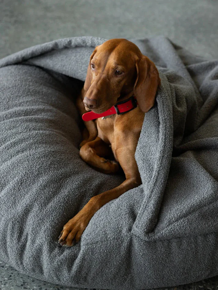 Cuccia per cani con coperta integrata