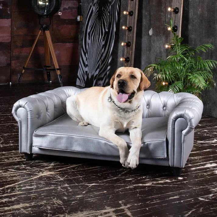 Divano di lusso per animali domestici